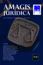 Amagis Jurídica nº 13